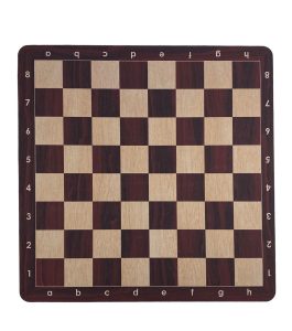 WhatsApp Image 2025-10-20 at 1.37.45 PM