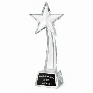 Glass Trophies | Large